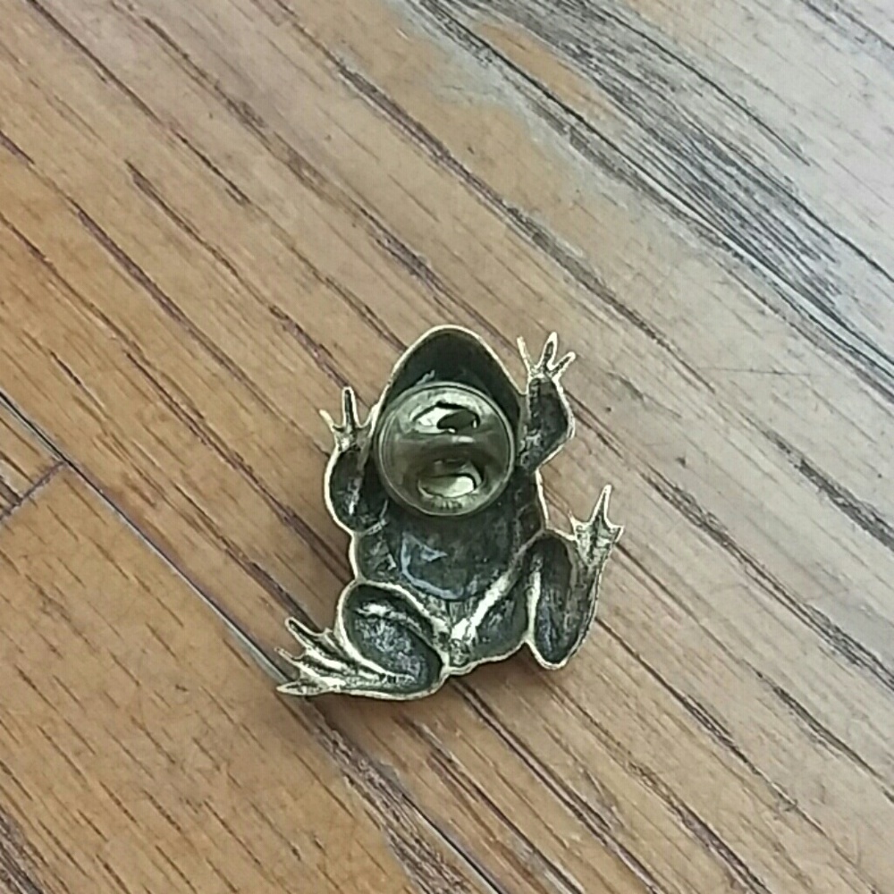 Frog Pin - Picture 2 of 3